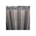 Hot Dipped Coated Electro Galvanized Welded Wire Mesh